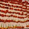 Edible Marigold Flowers [25ct.] - Image 3